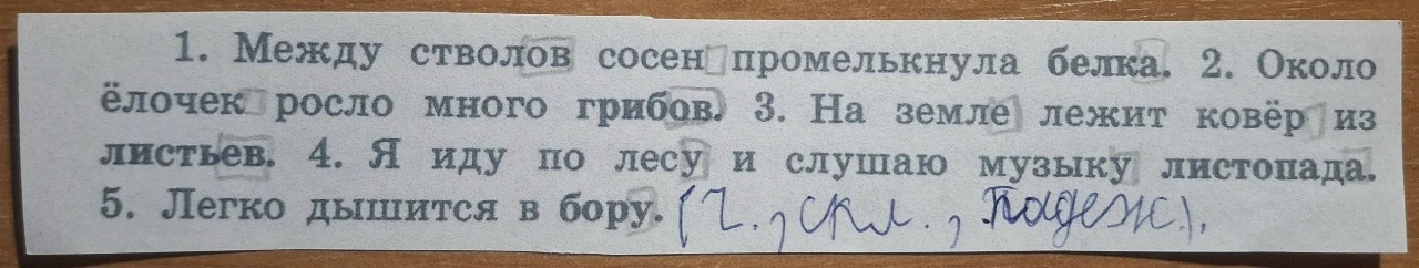 Списать у существительных выделить окончания определить число, склонение, падеж: 1. Между стволов сосен промелькнула белка. 2. Около ёлочек росло много грибов. 3. На земле лежит ковёр из листьев. 4. Я иду по лесу и слушаю музыку листопада. 5. Легко дышится в бору.