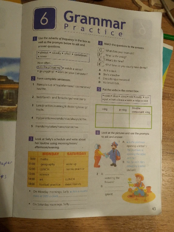 Form complete sentences. Put the verbs in the correct box.