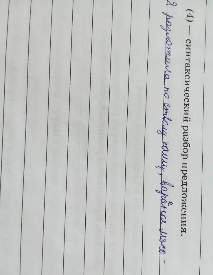 (4) — синтаксический разбор предложения. Я разложила по столу кашу, вареное мясо —