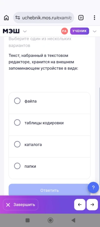 Текст, набранный в текстовом редакторе, хранится на внешнем запоминающем устройстве в виде: