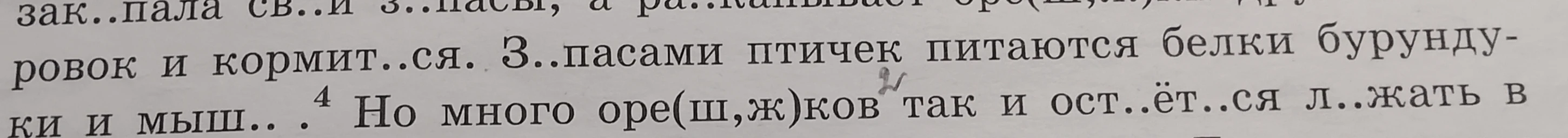 Разбор под цифрой 4: Но много орешков так и остаётся лежать в...