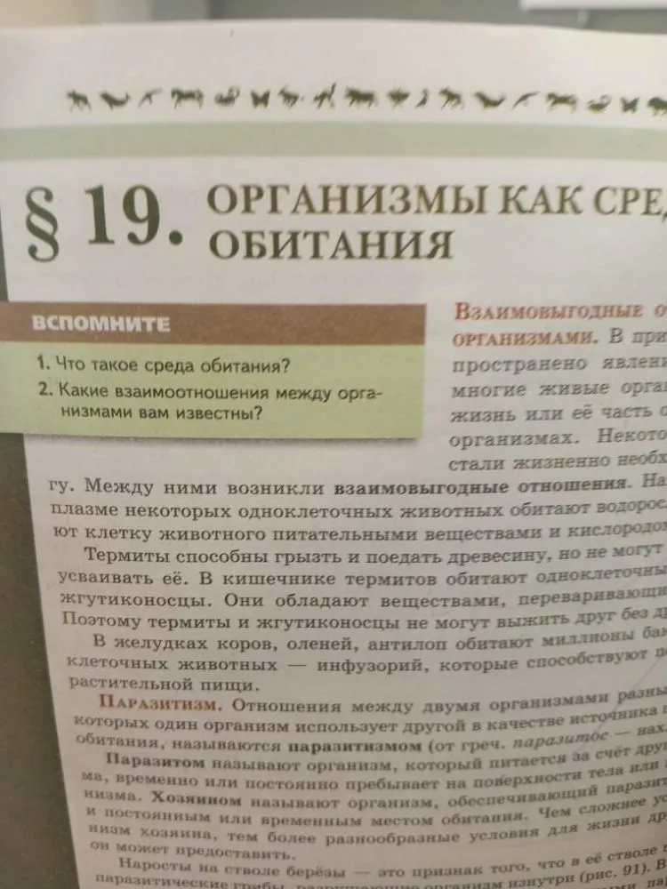 Конспект по теме § 19. Организмы как среда обитания