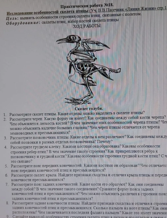 Практическая работа №18. Исследование особенностей скелета птицы.