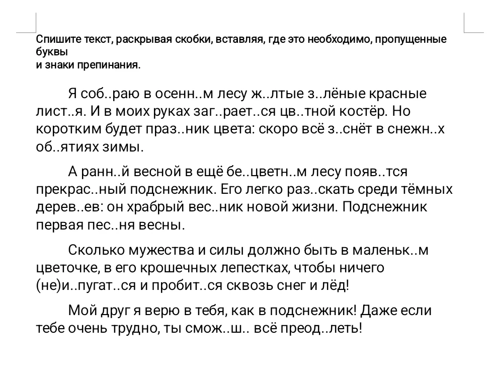 Спишите текст, раскрывая скобки, вставляя, где это необходимо, пропущенные буквы и знаки препинания.
