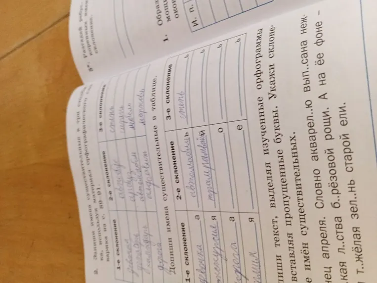 Допиши имена существительные в таблицу. Запиши текст, выделяя изученные орфограммы и вставляя пропущенные буквы. Укажи склонение имён существительных.