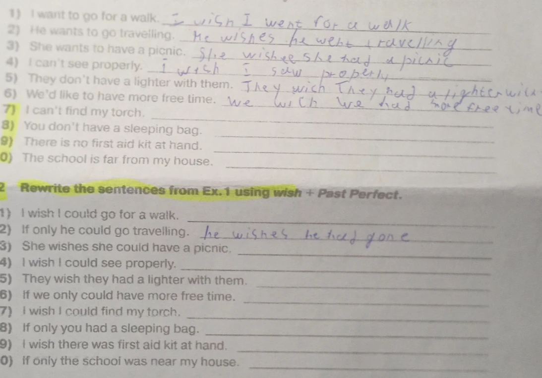 Rewrite the sentences from Ex. 1 using wish + Past Perfect.