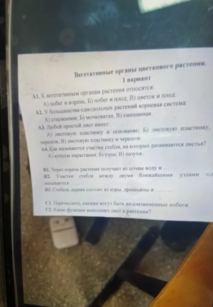 Вегетативные органы цветкового растения. 1 вариант. А1. К вегетативным органам растения относятся...