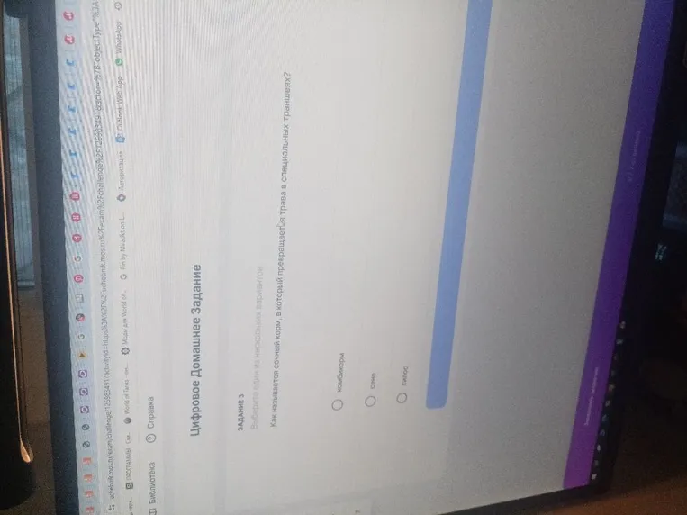 Как называется сочный корм, в который превращается трава в специальных траншеях?