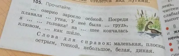 Прочитайте. Вставьте подходящие по смыслу слова из справок.
