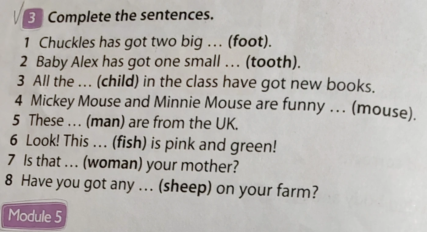 Complete the sentences: Chuckles has got two big ... (foot); Baby Alex has got one small ... (tooth); All the ... (child) in the class have got new books; Mickey Mouse and Minnie Mouse are funny ... (mouse); These ... (man) are from the UK; Look! This ... (fish) is pink and green!; Is that ... (woman) your mother?; Have you got any ... (sheep) on your farm?