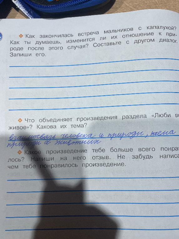 Как закончилась встреча мальчиков с капалухой? Как ты думаешь, изменится ли их отношение к природе после этого случая?