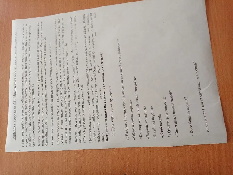 Вопросы и задания на выявление осознанности чтения по отрывку из рассказа Е. И. Носова «Как ворона на крыше заблудилась»