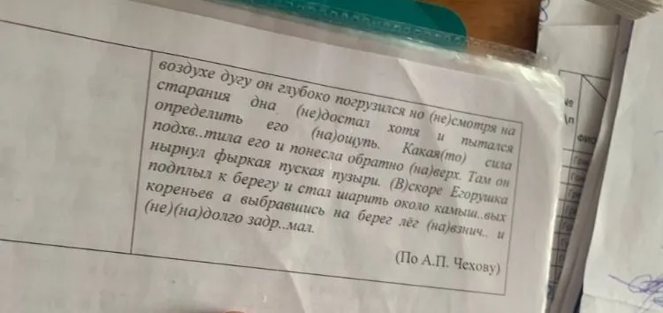 Спишите, вставьте пропущенные орфограммы, объясните графически их постановку. Поставьте недостающие знаки препинания.