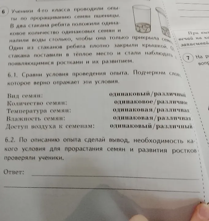 6.1. Сравни условия проведения опыта. Подчеркни слово, которое верно отражает эти условия. 6.2. По описанию опыта сделай вывод, необходимость какого условия для прорастания семян и развития ростков проверяли ученики.