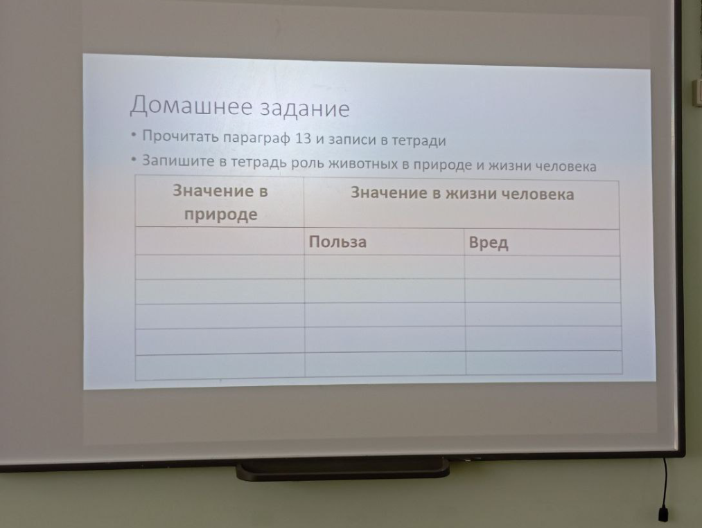 Запишите в тетрадь роль животных в природе и жизни человека