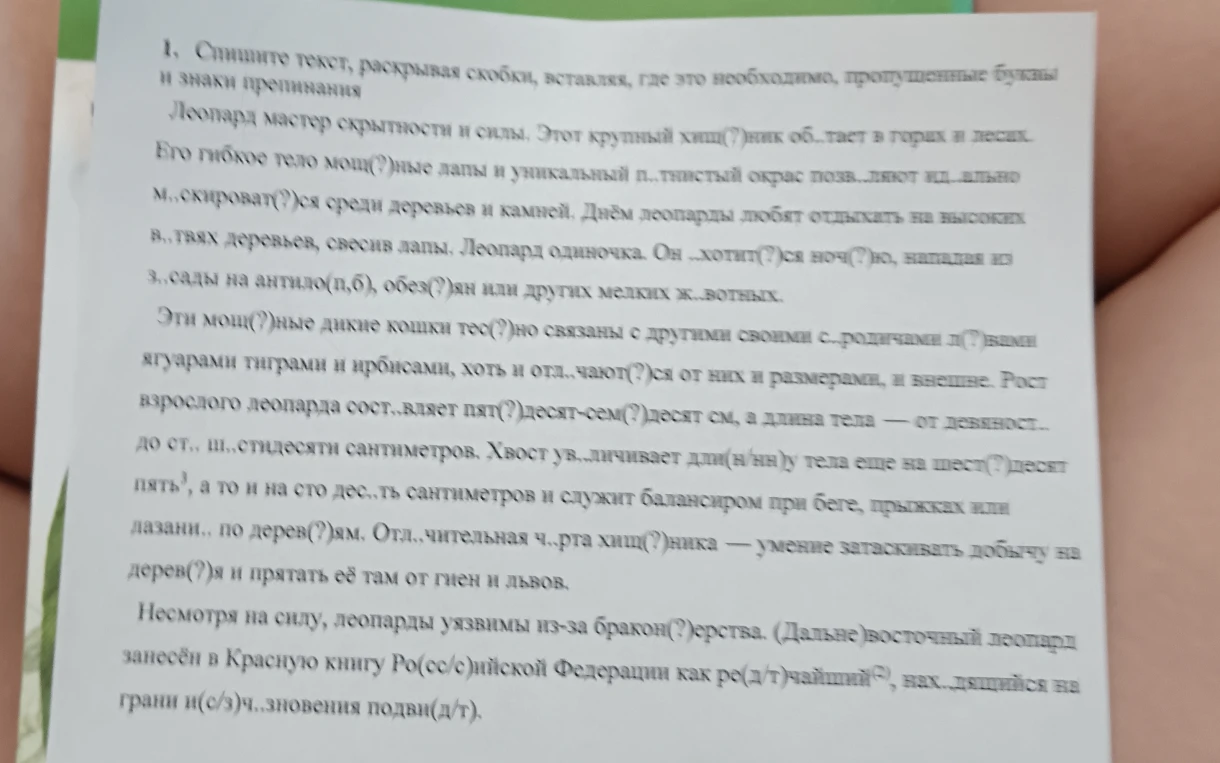 Спишите текст, раскрывая скобки, вставляя, где это необходимо, пропущенные буквы и знаки препинания