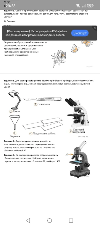Для своей работы ребята решили приготовить препарат, на котором были видны клетки грибницы. Каким оборудованием они могут воспользоваться для этой цели?