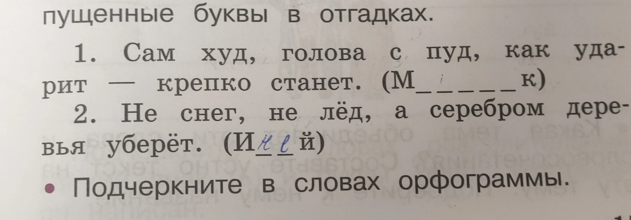 Вставьте пропущенные буквы в отгадках: 1. Сам худ, голова с пуд... 2. Не снег, не лёд...
