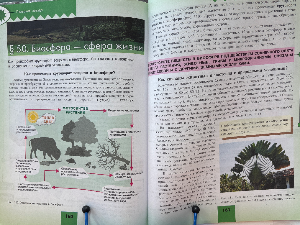 Конспект § 50. Биосфера — сфера жизни