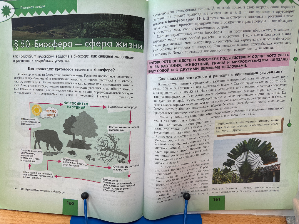 Конспект параграфа § 50. Биосфера — сфера жизни