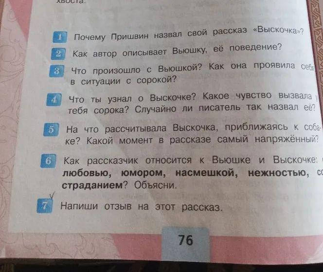 Ответь на вопросы из рассказа «Выскочка»
