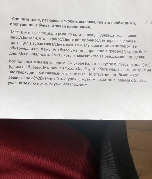 Спишите текст, раскрывая скобки, вставляя, где это необходимо, пропущенные буквы и знаки препинания.