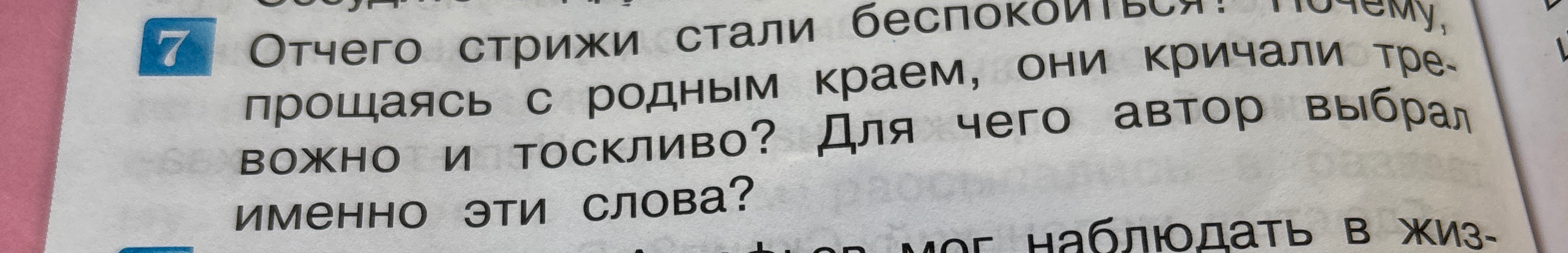 Отчего стрижи стали беспокоиться? Почему, прощаясь с родным краем, они кричали тревожно и тоскливо? Для чего автор выбрал именно эти слова?