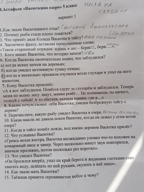 Ответы на вопросы по рассказу В.П. Астафьева «Васюткино озеро» для 5 класса.
