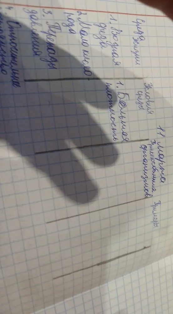Приспособление организмов (заполнение таблицы)
