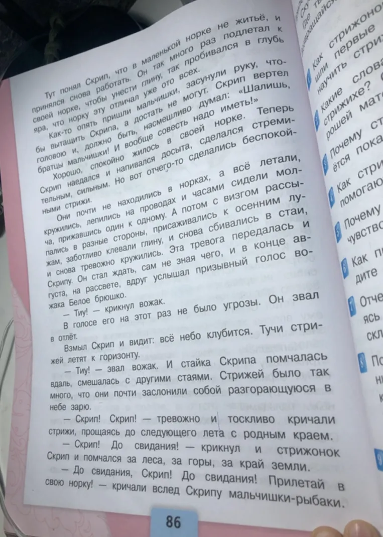Составь план текста про стрижонка Скрипа.