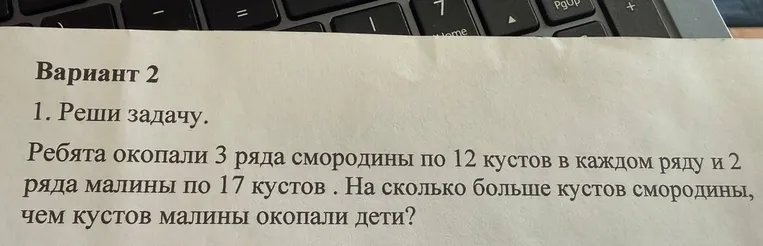 Ребята окопали 3 ряда смородины по 12 кустов в каждом ряду и 2 ряда малины по 17 кустов. На сколько больше кустов смородины, чем кустов малины окопали дети?
