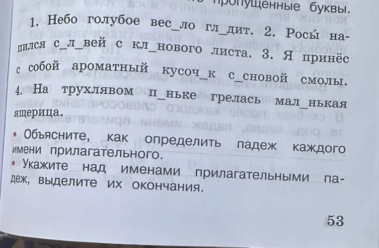 Объясните, как определить падеж каждого имени прилагательного. Укажите над именами прилагательными падеж, выделите их окончания.