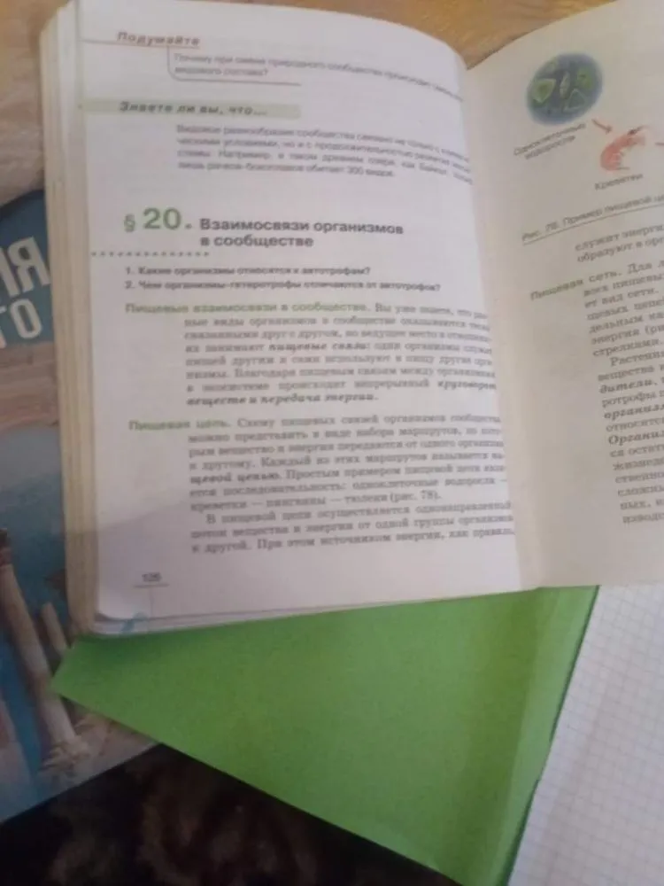 1. Какие организмы относятся к автотрофам? 2. Чем организмы-гетеротрофы отличаются от автотрофов?
