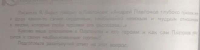 Каково ваше отношение к Платонову и его героям и как сам Платонов относится к своим необыкновенным героям?