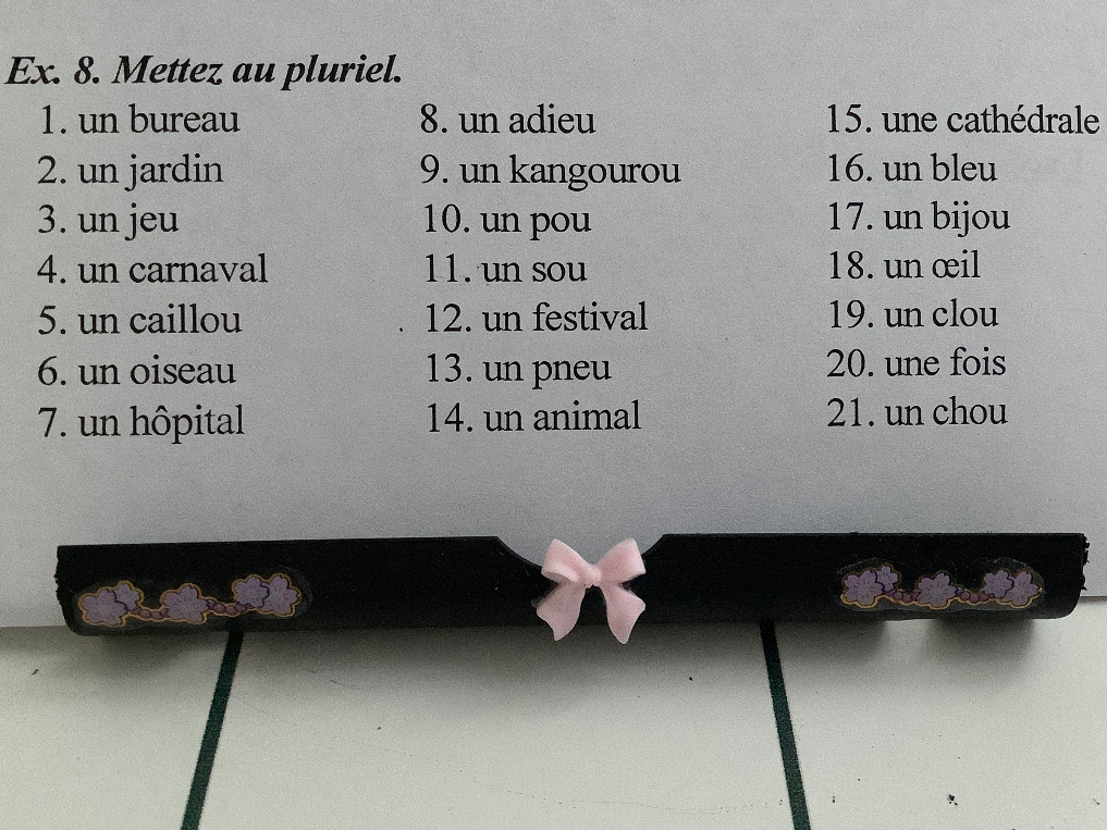 Ex. 8. Mettez au pluriel.
