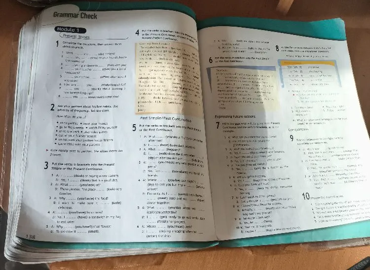 Put the verbs in brackets into the Present Simple or the Present Continuous.