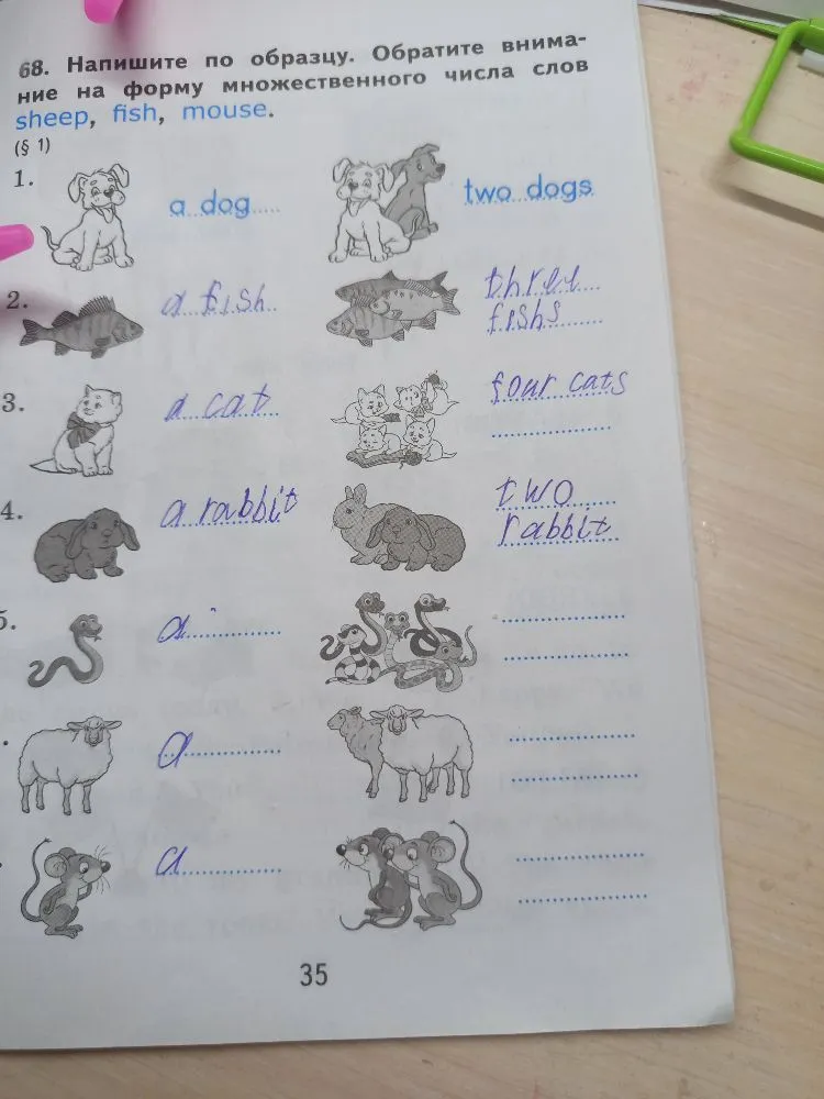 Напишите по образцу. Обратите внимание на форму множественного числа слов sheep, fish, mouse.