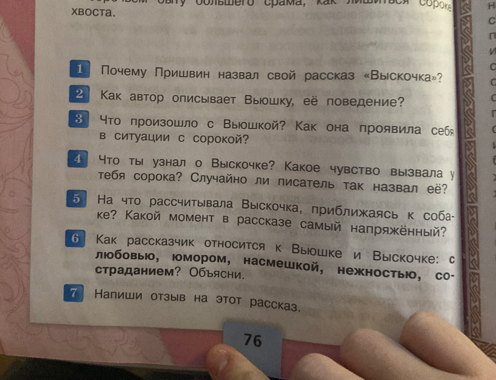 Ответь на вопросы по рассказу выскочка