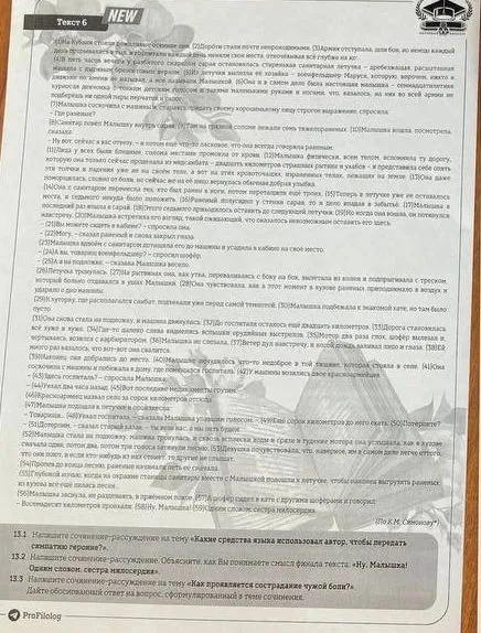Напишите сочинение-рассуждение на тему «Как проявляется сострадание к чужой боли?»