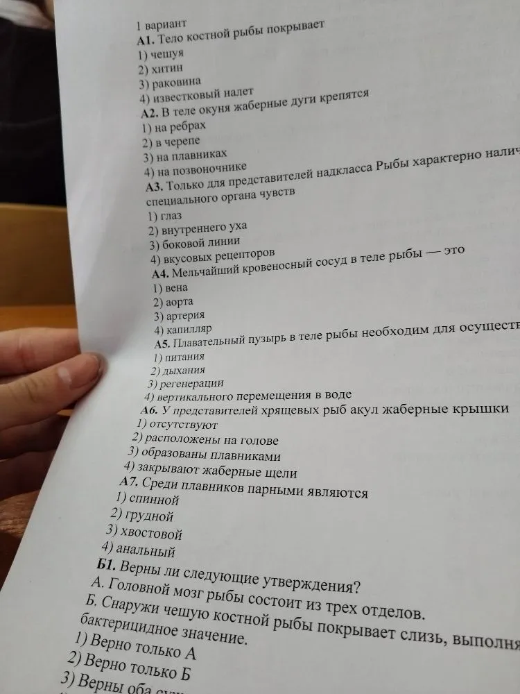 Выполните задания теста по теме 'Рыбы': А1. Тело костной рыбы покрывает; А2. В теле окуня жаберные дуги крепятся; А3. Только для представителей надкласса Рыбы характерно наличие специального органа чувств; А4. Мельчайший кровеносный сосуд в теле рыбы — это; А5. Плавательный пузырь в теле рыбы необходим для осуществления; А6. У представителей хрящевых рыб акул жаберные крышки; А7. Среди плавников парными являются; Б1. Верны ли следующие утверждения?