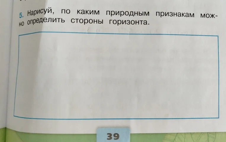 Нарисуй, по каким природным признакам можно определить стороны горизонта.