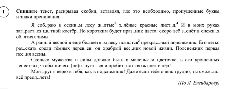 Спишите текст, раскрывая скобки, вставляя, где это необходимо, пропущенные буквы и знаки препинания.