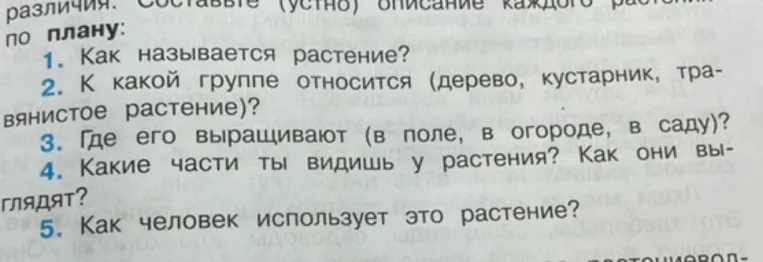 Составьте описание растения кормовая свекла по плану: 1. Как называется растение? 2. К какой группе относится? 3. Где его выращивают? 4. Какие части ты видишь? 5. Как человек использует это растение?