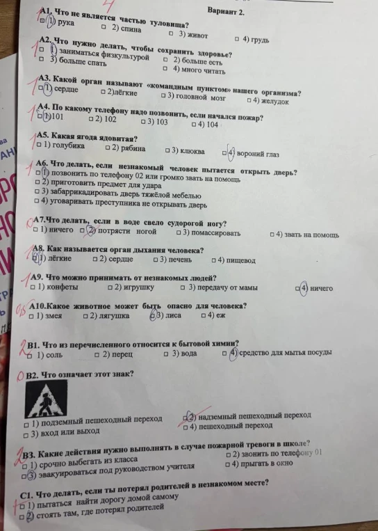 Ответьте на вопросы теста: что не является частью туловища, как сохранить здоровье, какой орган называют командным пунктом организма и другие.