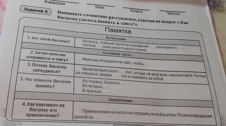 Напишите сочинение-рассуждение, ответив на вопрос «Как Васютке удалось выжить в тайге?»