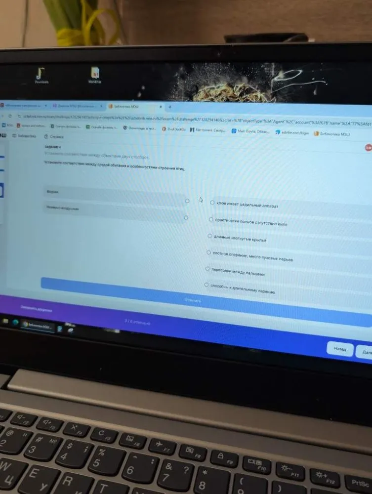 Установите соответствие между средой обитания и особенностями строения птиц.