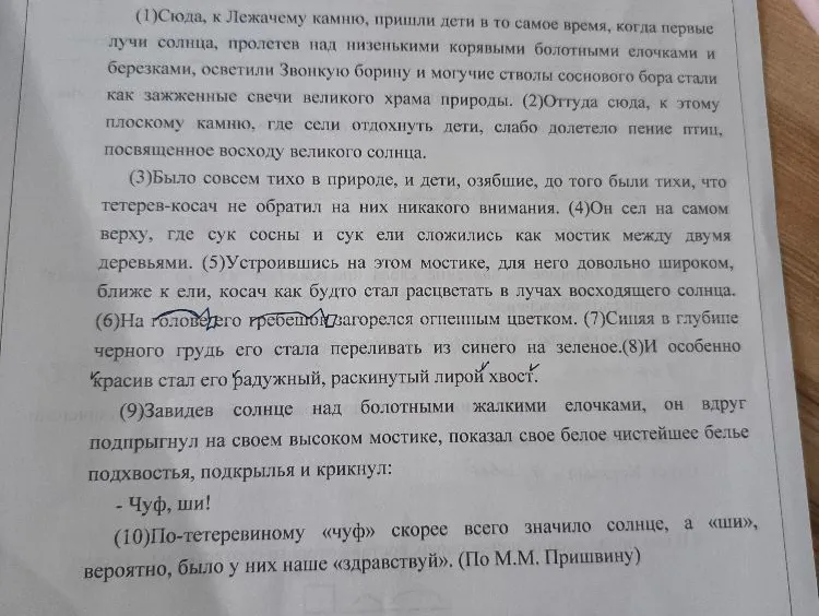 составь план текста из трёх пунктов