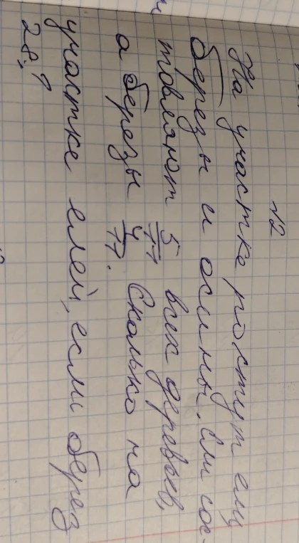 На участке растут ели, березы и осины. Ели, сосны и осины составляют 5/11 всех деревьев, а березы 4/11. Сколько на участке елей, если берез 28?