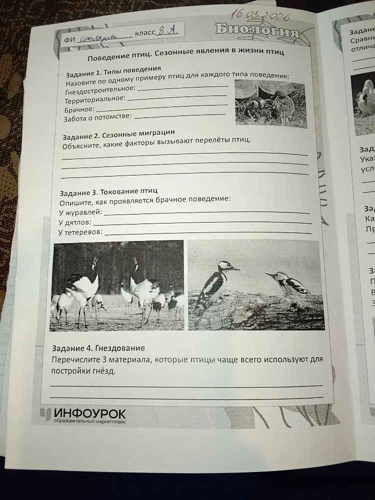 Поведение птиц. Сезонные явления в жизни птиц. Задание 1. Типы поведения. Задание 2. Сезонные миграции. Задание 3. Токование птиц. Задание 4. Гнездование.
