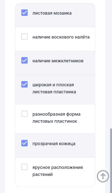 Какие приспособления листа обеспечивают улавливание света? Выберите все правильные ответы.
